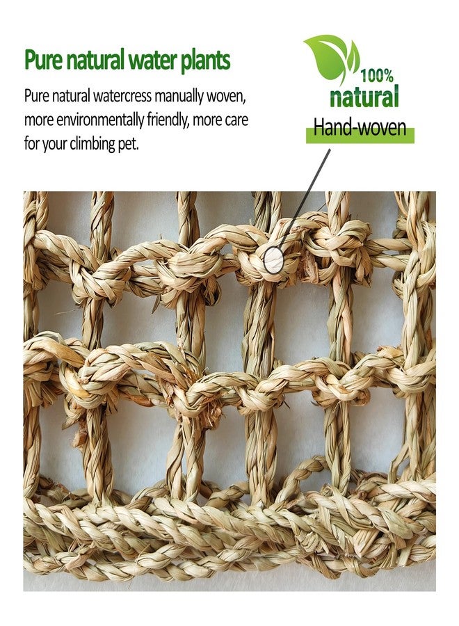 FEXICHUJI Hermit Crab Climbing Toys Set - Seagrass Hammock and Reptile Climbing Ladder with Small Brush, Hermit Crab Accessories for Tank and Aquarium Decoration - Image 4